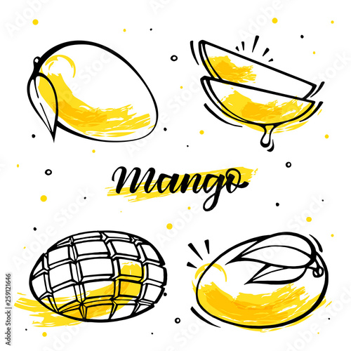 Set of mango illustration in doodle style. Isolated vector on white background. 