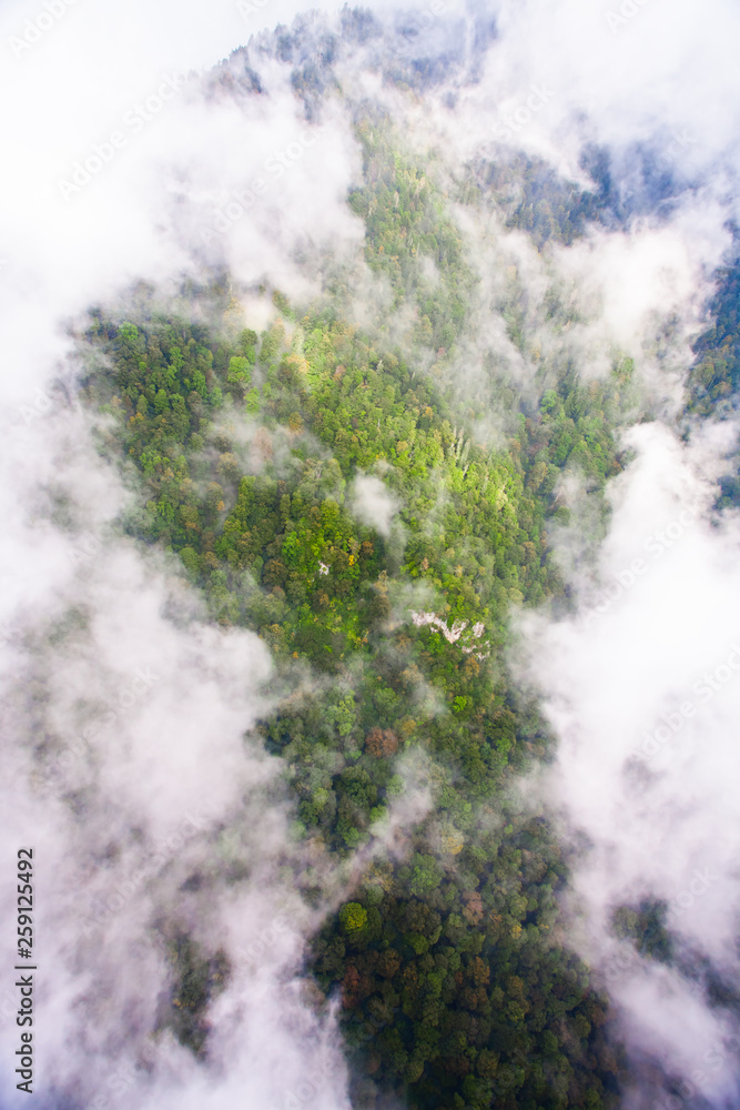 Top down turquoise forest on the mountainside under the clouds-. fog (aerial photo with paraglider), summer holidays in the Caucasus in Abkhazia. Top down turquoise forest on the mountainside under the clouds-. fog (aerial photo with paraglider), summer holidays in the Caucasus in Abkhazia.