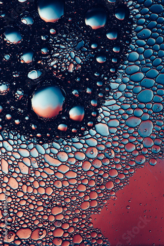 creative abstract biology b...