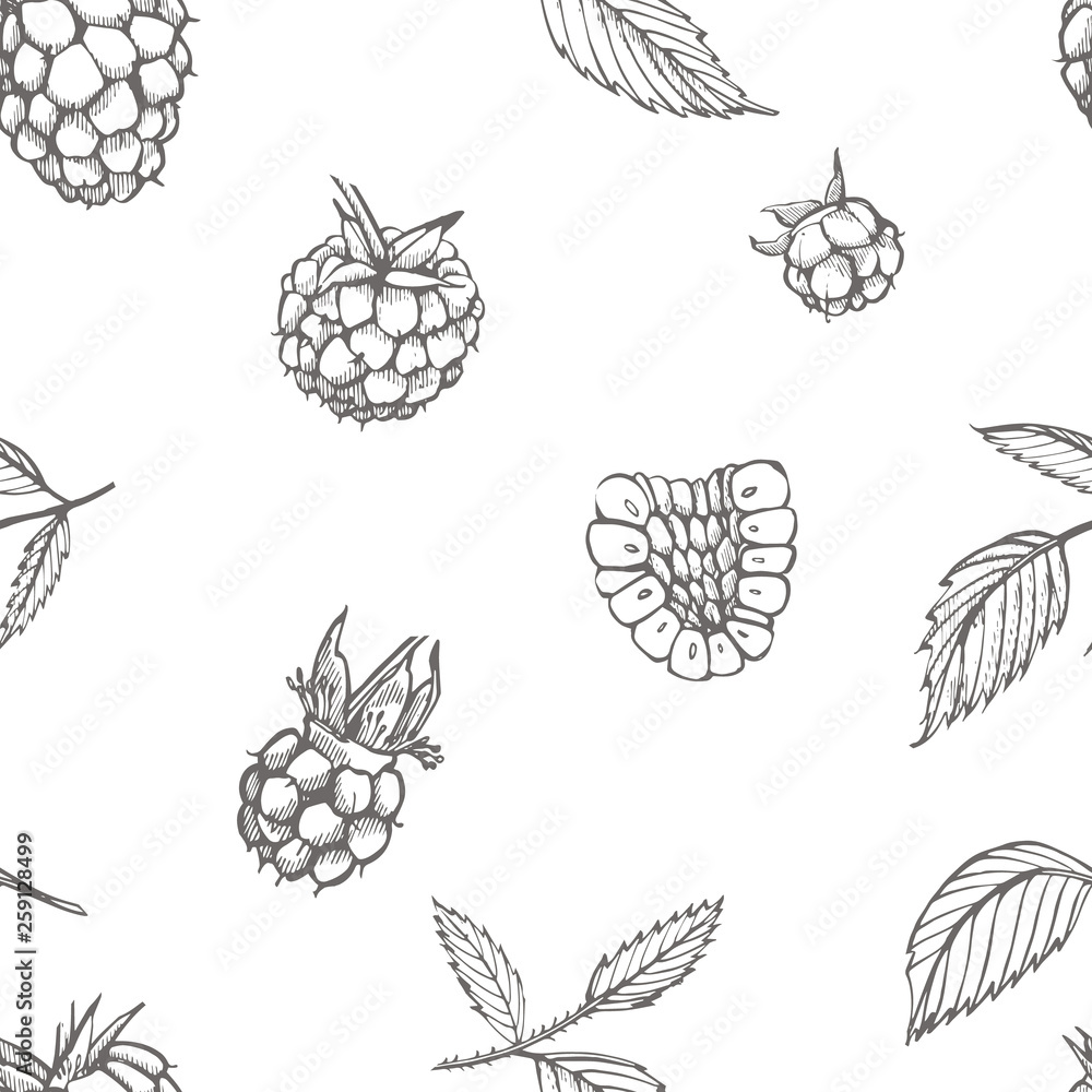 Hand drawn raspberry. Retro sketch style illustration. Perfect for invitation, wedding or greeting cards. Seamless pattern. Hand drawn raspberry. Retro sketch style illustration. Perfect for invitation, wedding or greeting cards. Seamless pattern.
