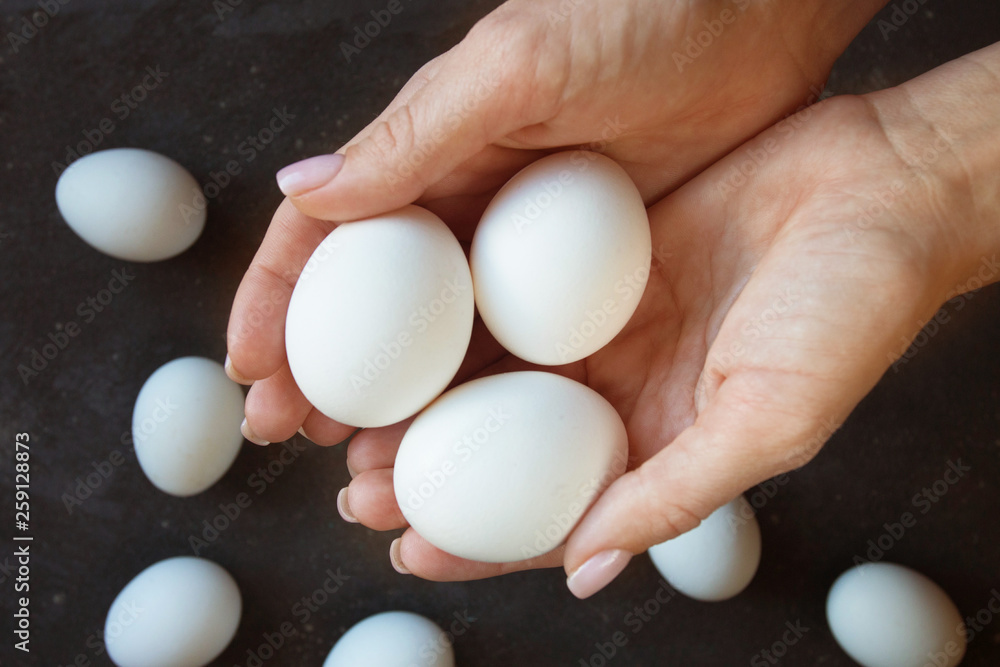 three white chicken eggs in the palms of a woman against a dark background with scattered chicken eggs three white chicken eggs in the palms of a woman against a dark background with scattered chicken eggs