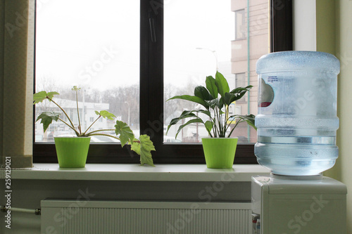 water cooler near the window