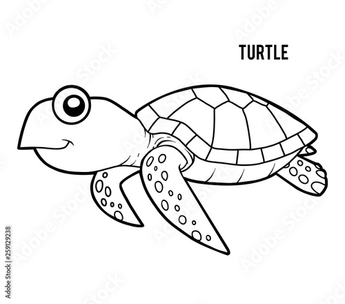 Coloring book, Turtle