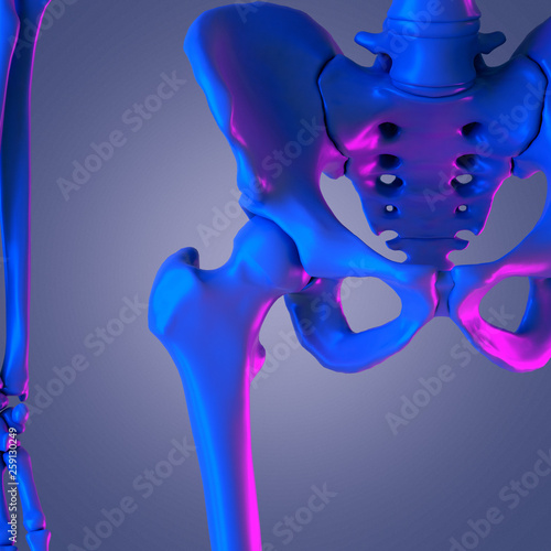 3d rendered abstract rendering of the hip joint