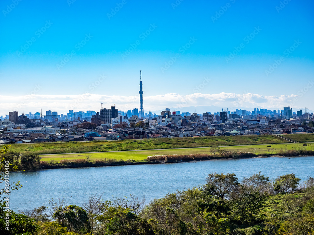 Fototapeta premium Looking across the Edo River into Tokyo