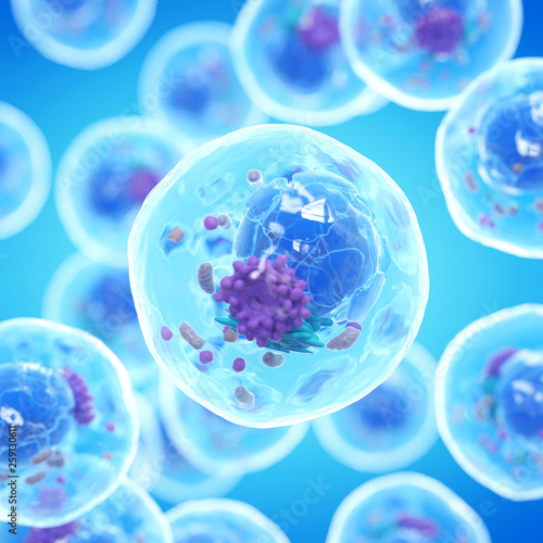 3d illustration of a human cell photo