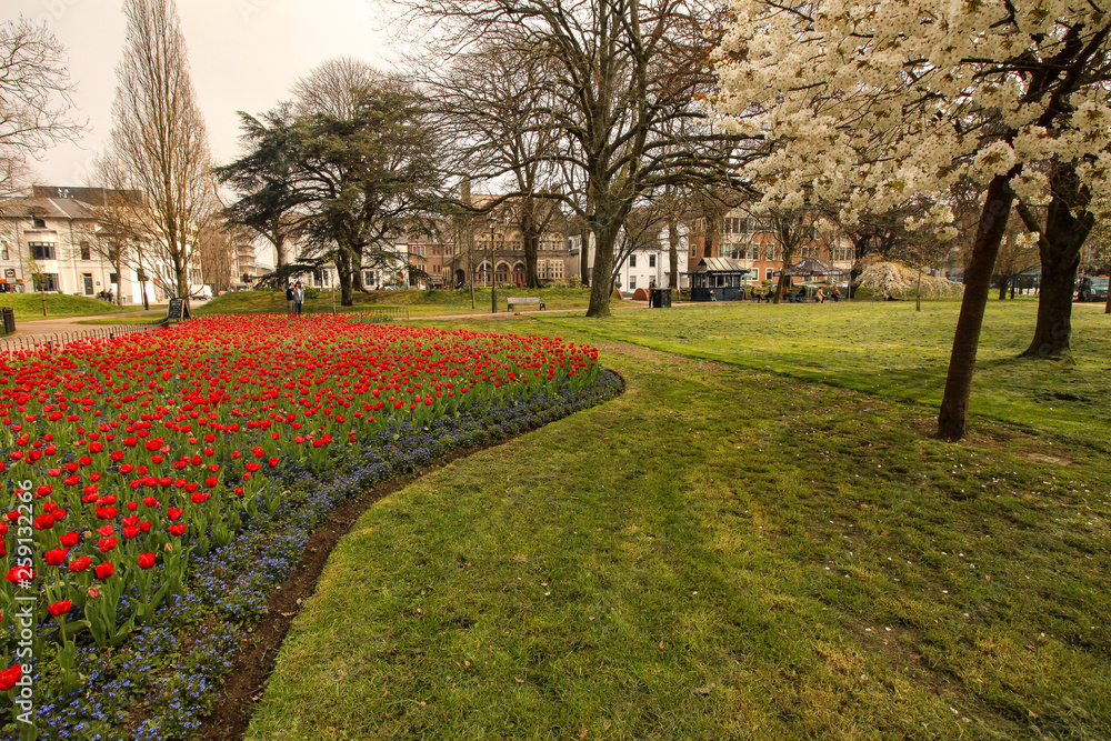 Frühling in Cardiff (Gorsedd Gardens) Frühling in Cardiff (Gorsedd Gardens)