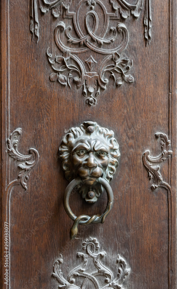 Türklopfer mit Löwenkopf