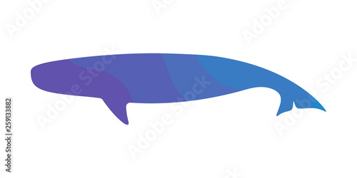 Vector illustration seamless pattern. Marine tropical design. Blue gradient silhouette of blue whale