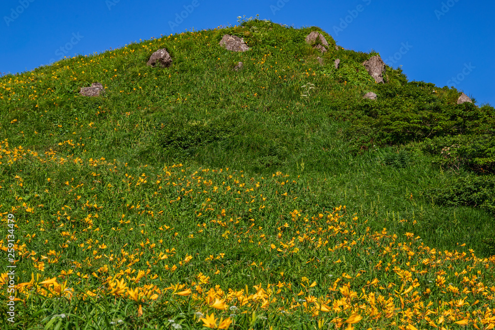Fototapeta premium Akita Komagatake