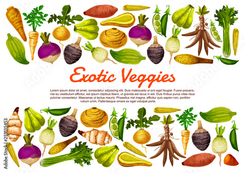 Exotic veggies, organic farm root vegetables