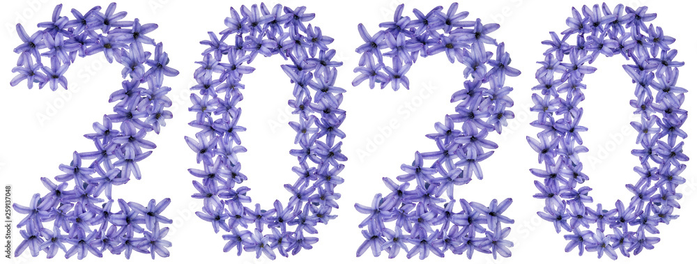 Inscription 2020, from natural flowers of hyacinth, isolated on white background