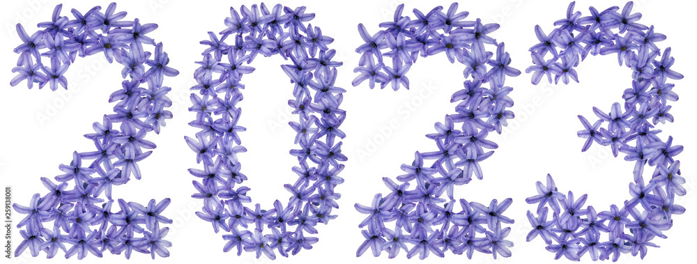 Inscription 2023, from natural flowers of hyacinth, isolated on white background