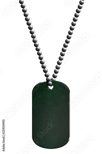 green chrome metal tag and necklace.