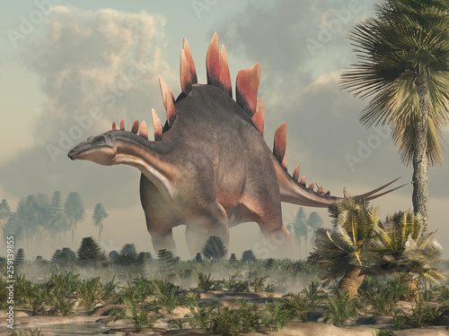 Fototapeta Naklejka Na Ścianę i Meble -  Stegosaurus, was a thyreophoran dinosaur. An herbivore, it is one of the best known dinosaurs of the Jurassic period. Here, a grey and brown one is standing in a Jurassic era wetland. 3D Rendering. 