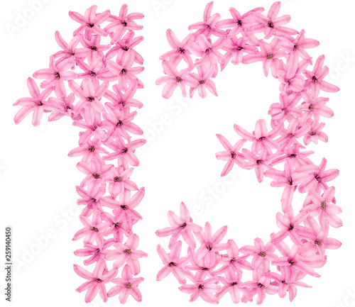 Numeral 13, thirteen, one, three, from natural flowers of hyacinth, isolated on white background