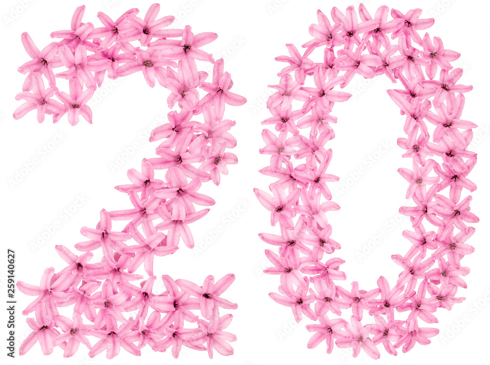 Numeral 20, twenty, from natural flowers of hyacinth, isolated on white background Numeral 20, twenty, from natural flowers of hyacinth, isolated on white background
