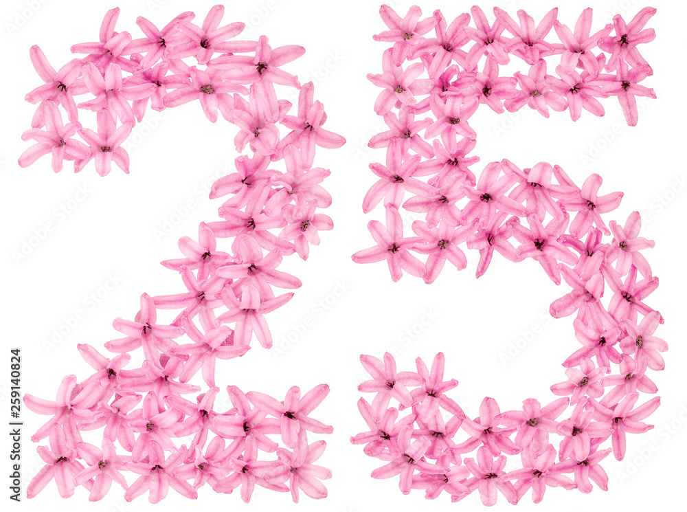 Numeral 25, twenty five, from natural flowers of hyacinth, isolated on white background