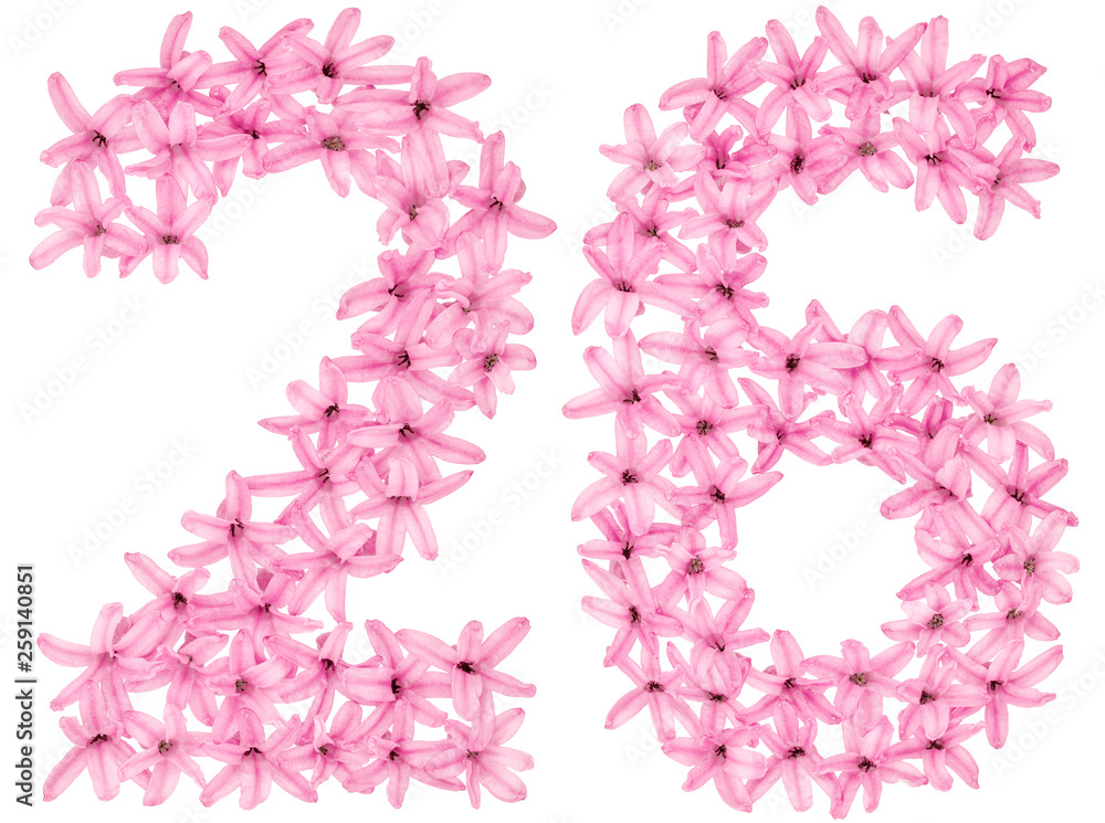Numeral 26, twenty six, from natural flowers of hyacinth, isolated on white background Numeral 26, twenty six, from natural flowers of hyacinth, isolated on white background