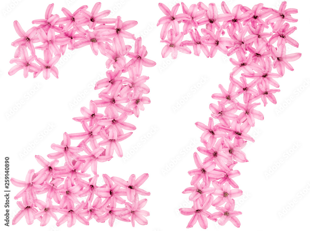 Numeral 27, twenty seven, from natural flowers of hyacinth, isolated on white background Numeral 27, twenty seven, from natural flowers of hyacinth, isolated on white background