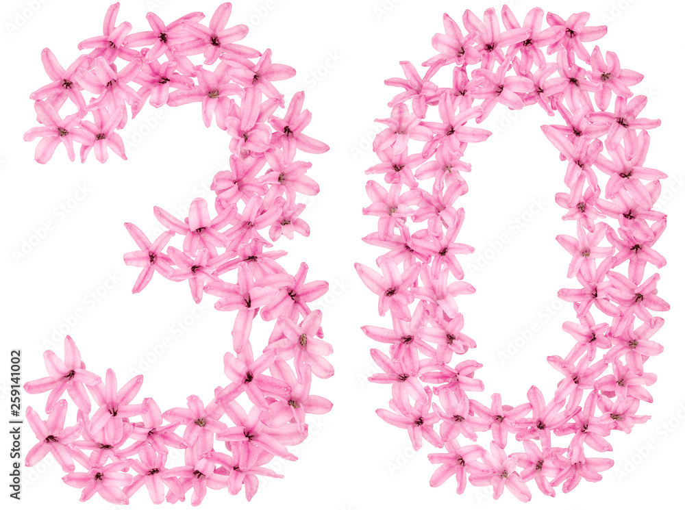 Numeral 30, thirty, from natural flowers of hyacinth, isolated on white background