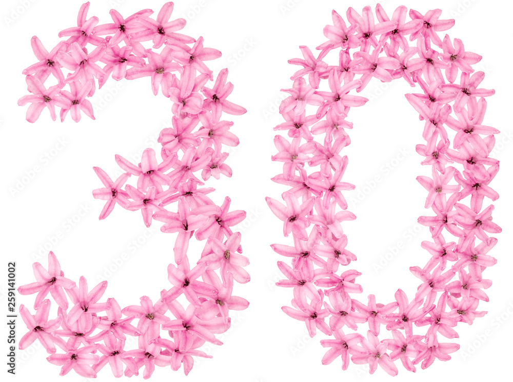 Numeral 30, thirty, from natural flowers of hyacinth, isolated on white background Numeral 30, thirty, from natural flowers of hyacinth, isolated on white background