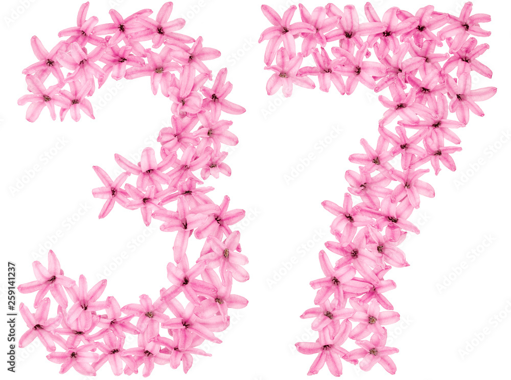 Numeral 37, thirty seven, from natural flowers of hyacinth, isolated on white background Numeral 37, thirty seven, from natural flowers of hyacinth, isolated on white background