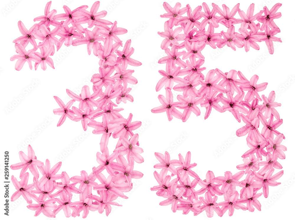 Numeral 35, thirty five, from natural flowers of hyacinth, isolated on white background
