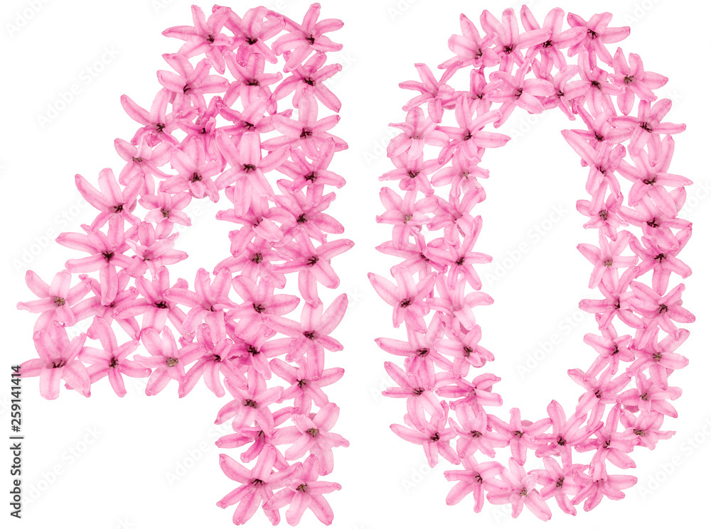 Numeral 40, forty, four, from natural flowers of hyacinth, isolated on white background