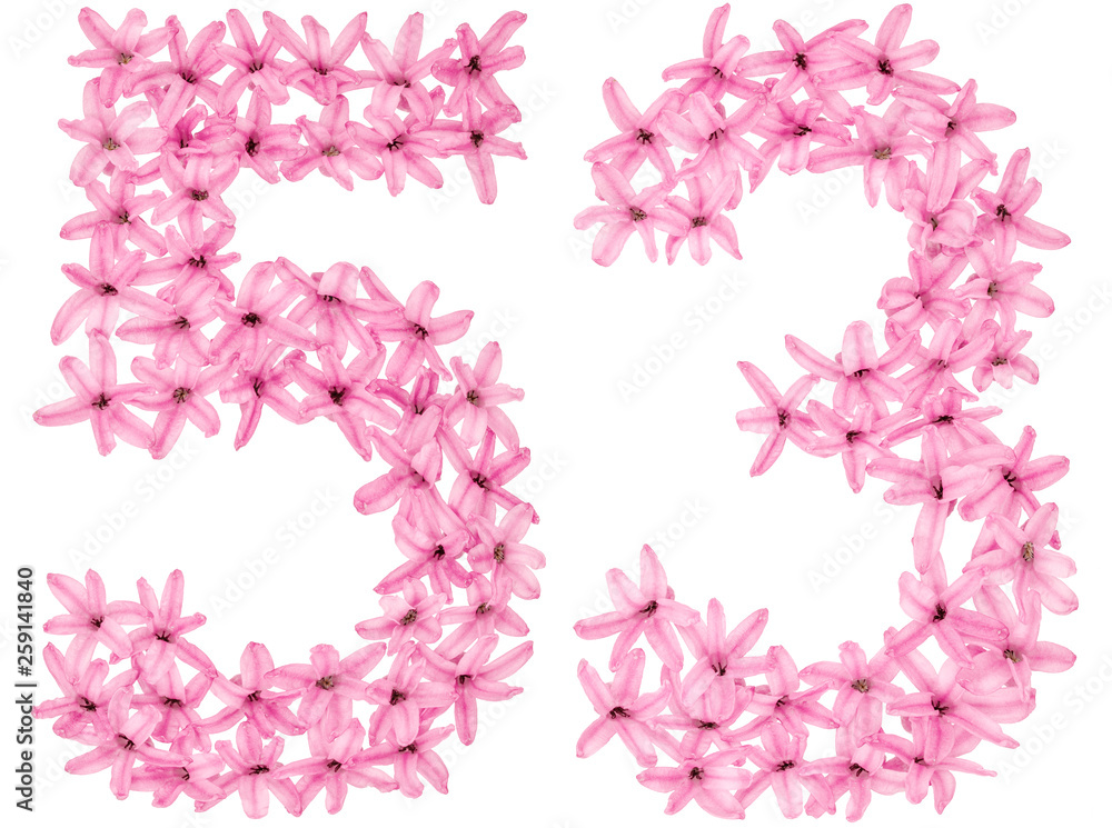 Numeral 53, fifty three, from natural flowers of hyacinth, isolated on white background Numeral 53, fifty three, from natural flowers of hyacinth, isolated on white background