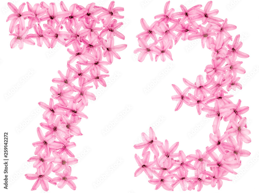 Numeral 73, seventy three, from natural flowers of hyacinth, isolated on white background