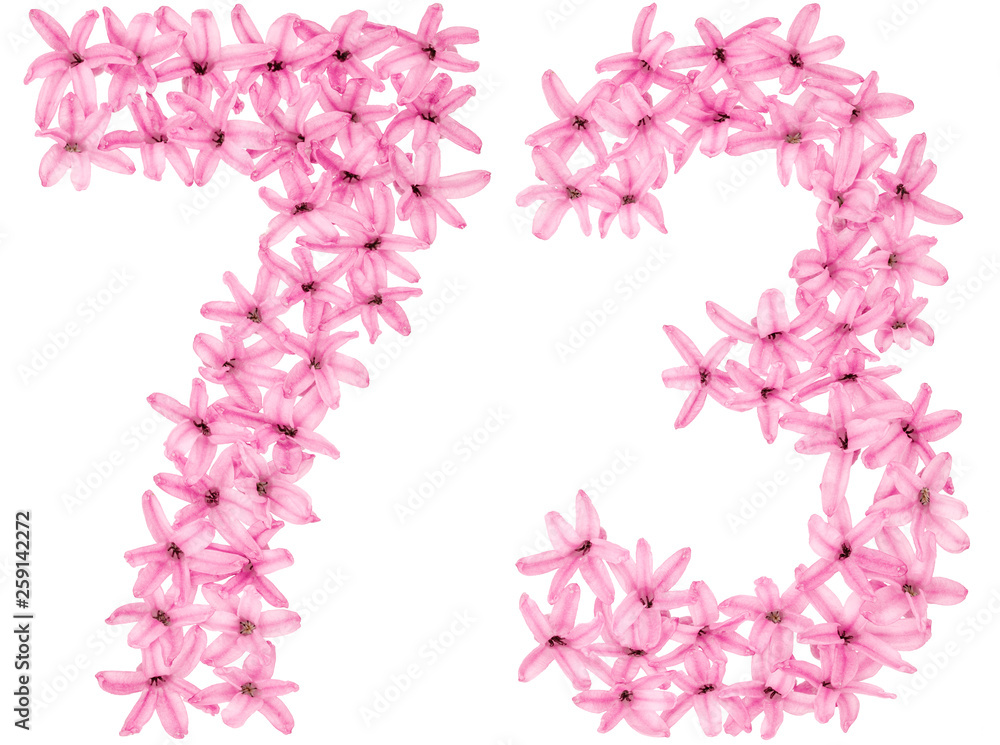 Numeral 73, seventy three, from natural flowers of hyacinth, isolated on white background Numeral 73, seventy three, from natural flowers of hyacinth, isolated on white background