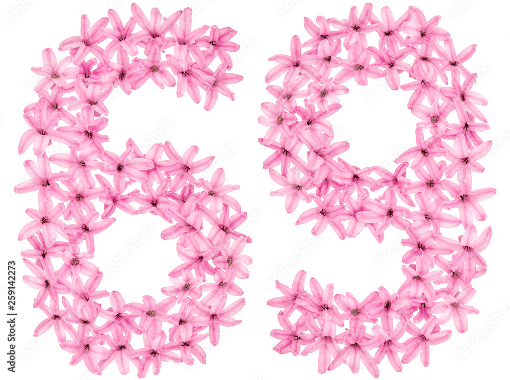 Numeral 69, sixty nine, from natural flowers of hyacinth, isolated on white background