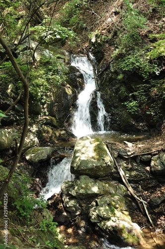滝子山 夏の三丈の滝 © Green Cap 55