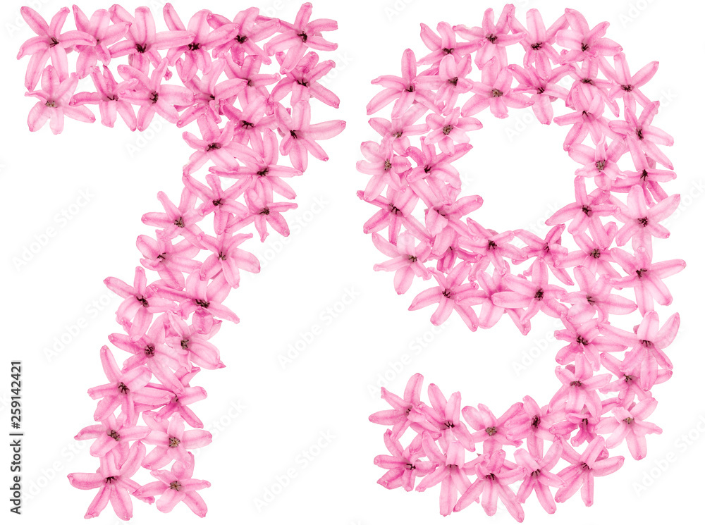 Numeral 79, seventy nine, from natural flowers of hyacinth, isolated on white background