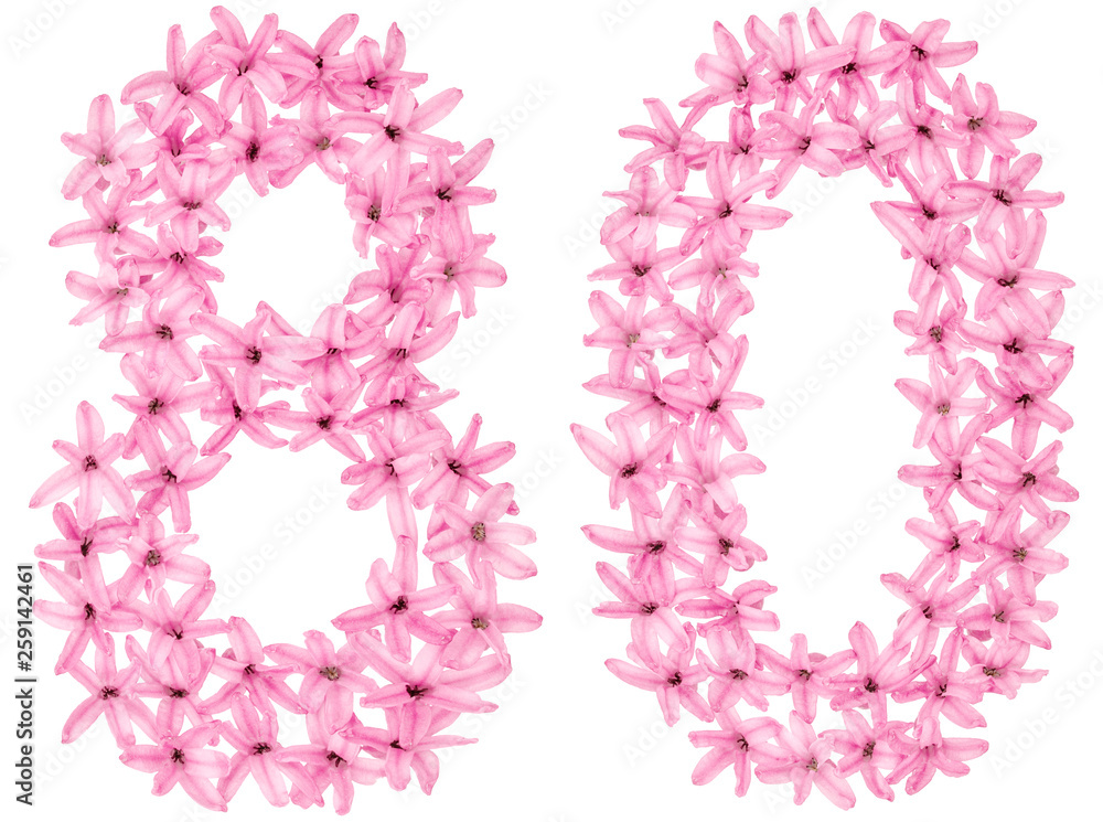 Numeral 80, eighty, eight, from natural flowers of hyacinth, isolated on white background