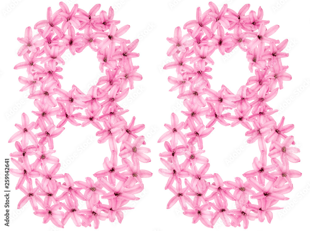 Numeral 88, eighty eight, from natural flowers of hyacinth, isolated on white background Numeral 88, eighty eight, from natural flowers of hyacinth, isolated on white background