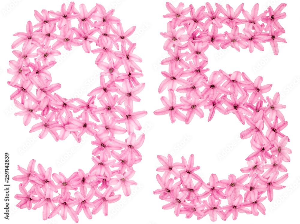 Numeral 95, ninety five, from natural flowers of hyacinth, isolated on white background Numeral 95, ninety five, from natural flowers of hyacinth, isolated on white background