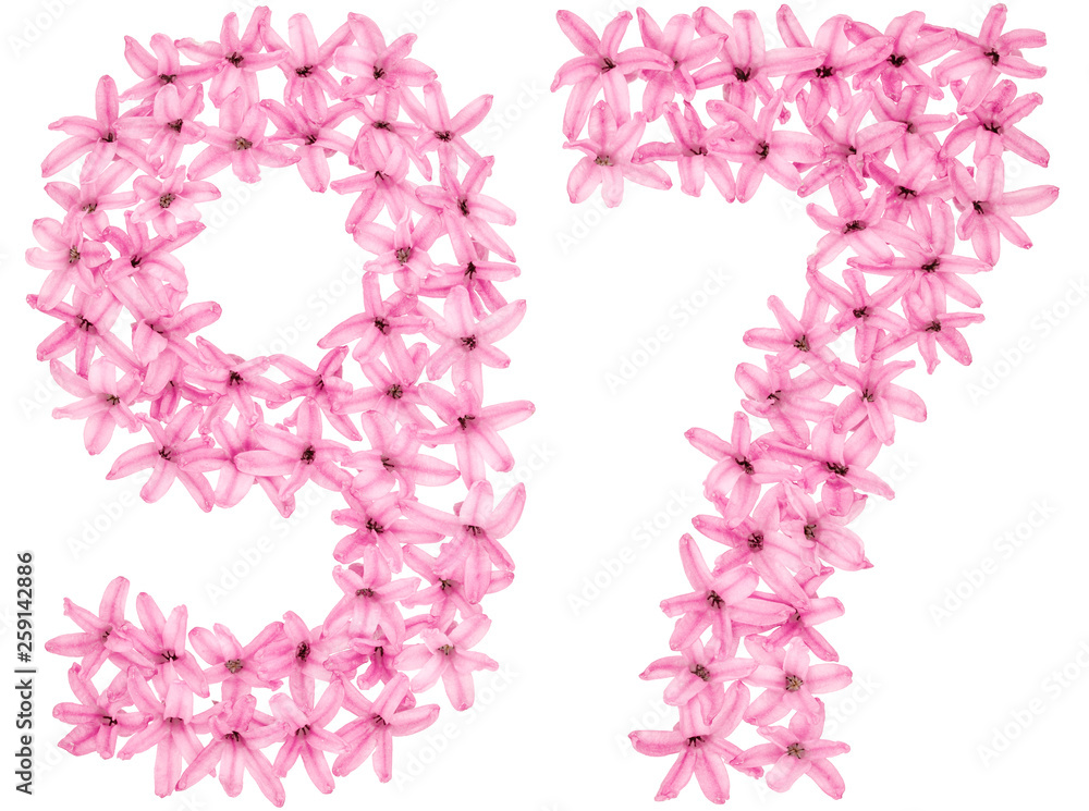 Numeral 97, ninety seven, from natural flowers of hyacinth, isolated on white background Numeral 97, ninety seven, from natural flowers of hyacinth, isolated on white background