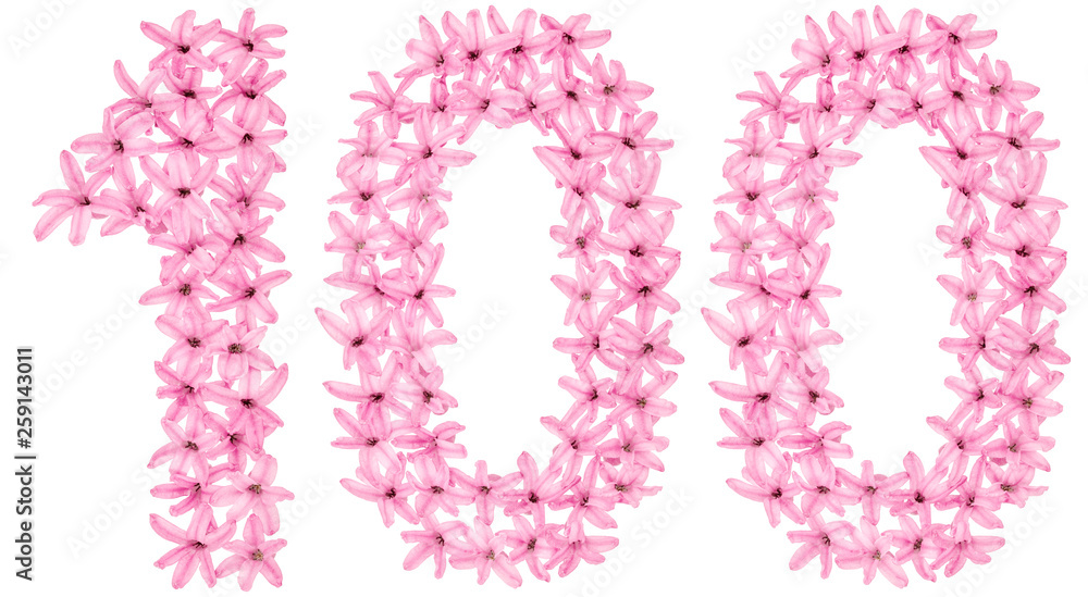 Numeral 100, one hundred, from natural flowers of hyacinth, isolated on white background