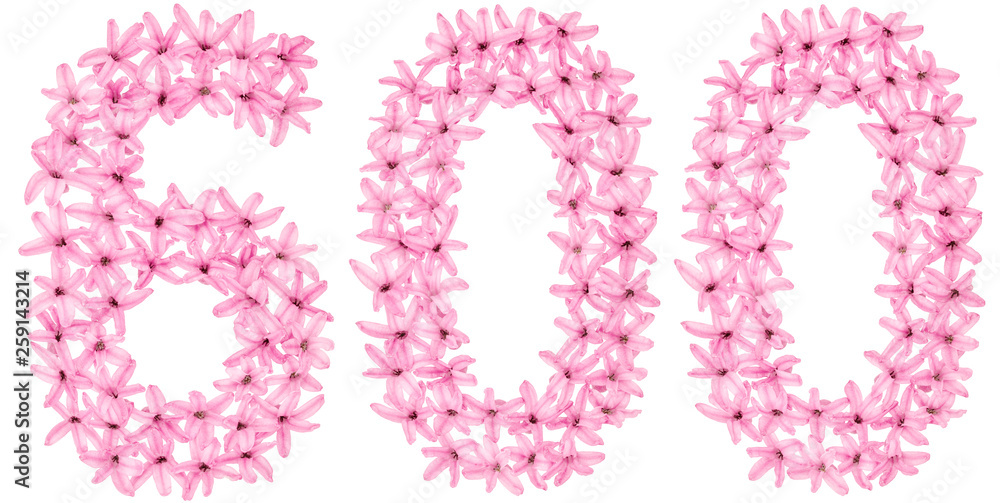 Numeral 600, six hundred, from natural flowers of hyacinth, isolated on white background