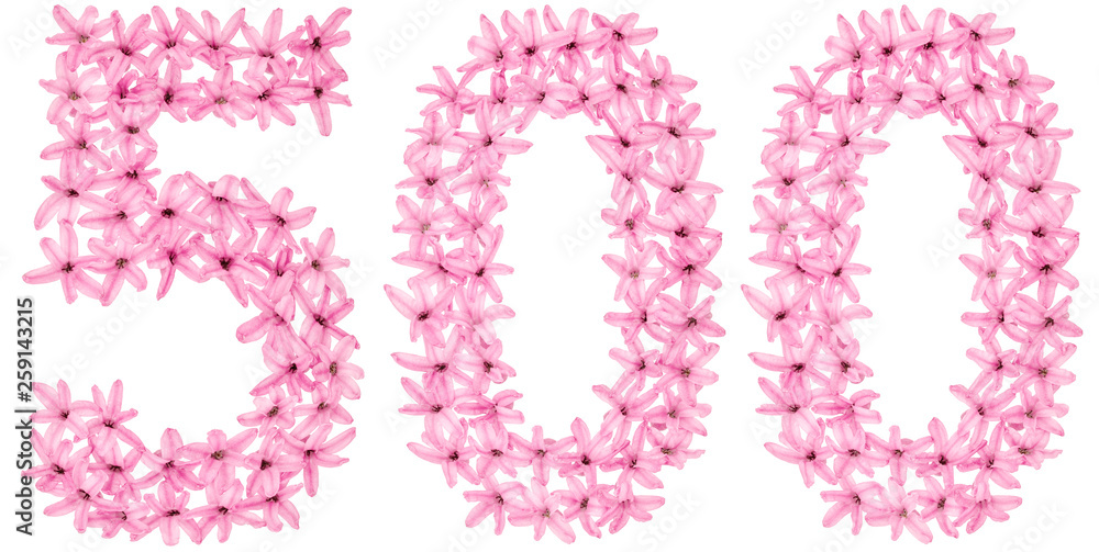 Numeral 500, five hundred, from natural flowers of hyacinth, isolated on white background Numeral 500, five hundred, from natural flowers of hyacinth, isolated on white background