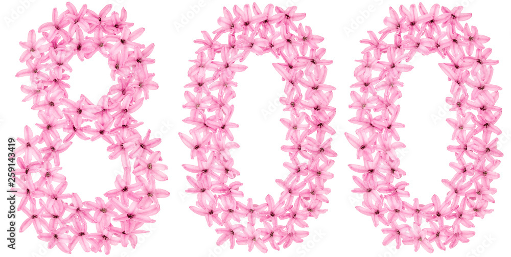 Numeral 800, eight hundred, from natural flowers of hyacinth, isolated on white background