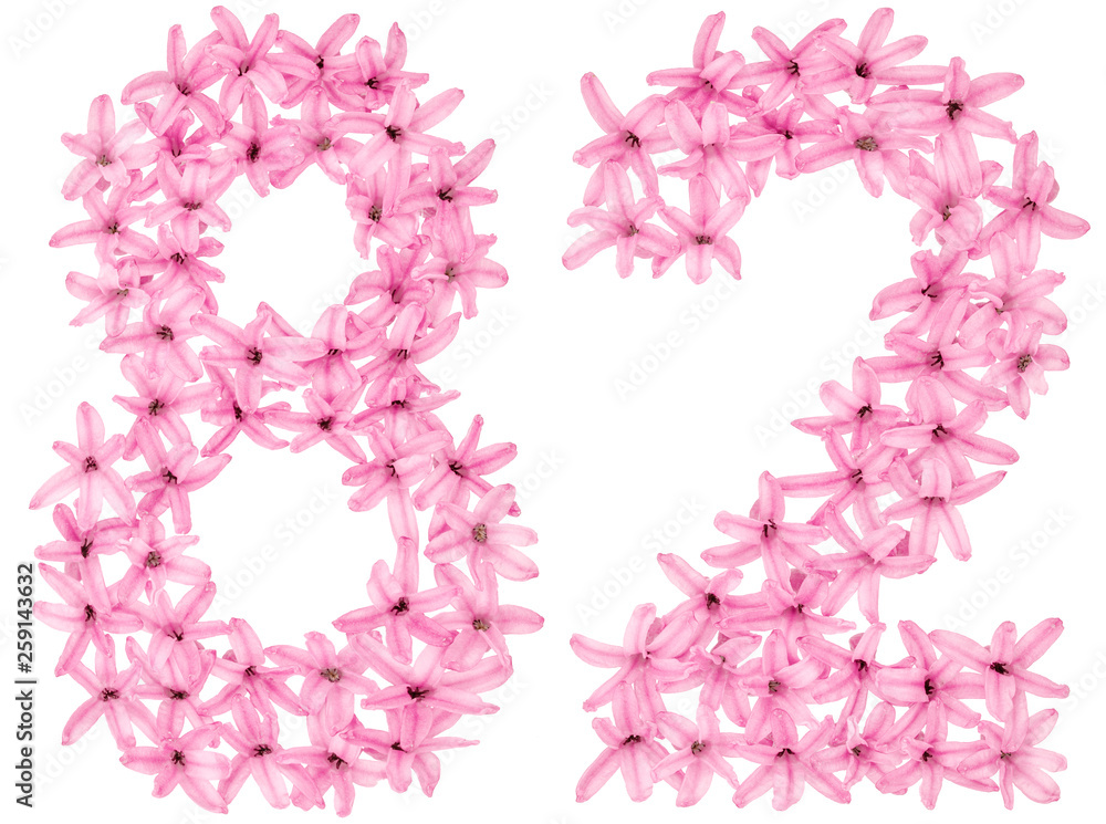 Numeral 82, eighty two, from natural flowers of hyacinth, isolated on white background