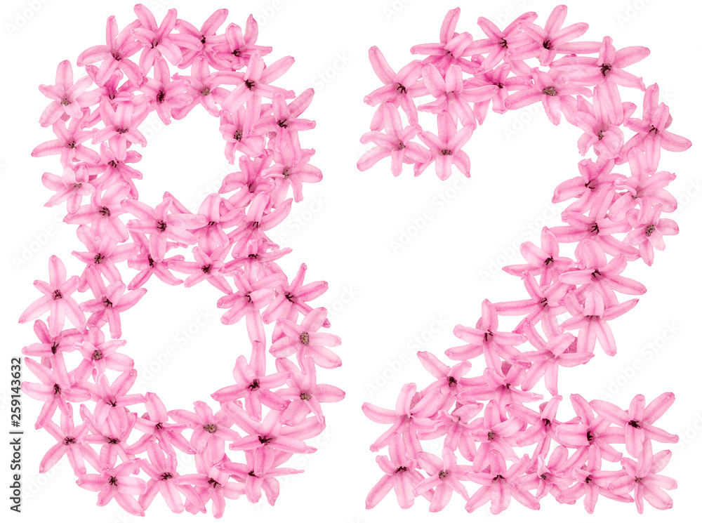 Numeral 82, eighty two, from natural flowers of hyacinth, isolated on white background Numeral 82, eighty two, from natural flowers of hyacinth, isolated on white background
