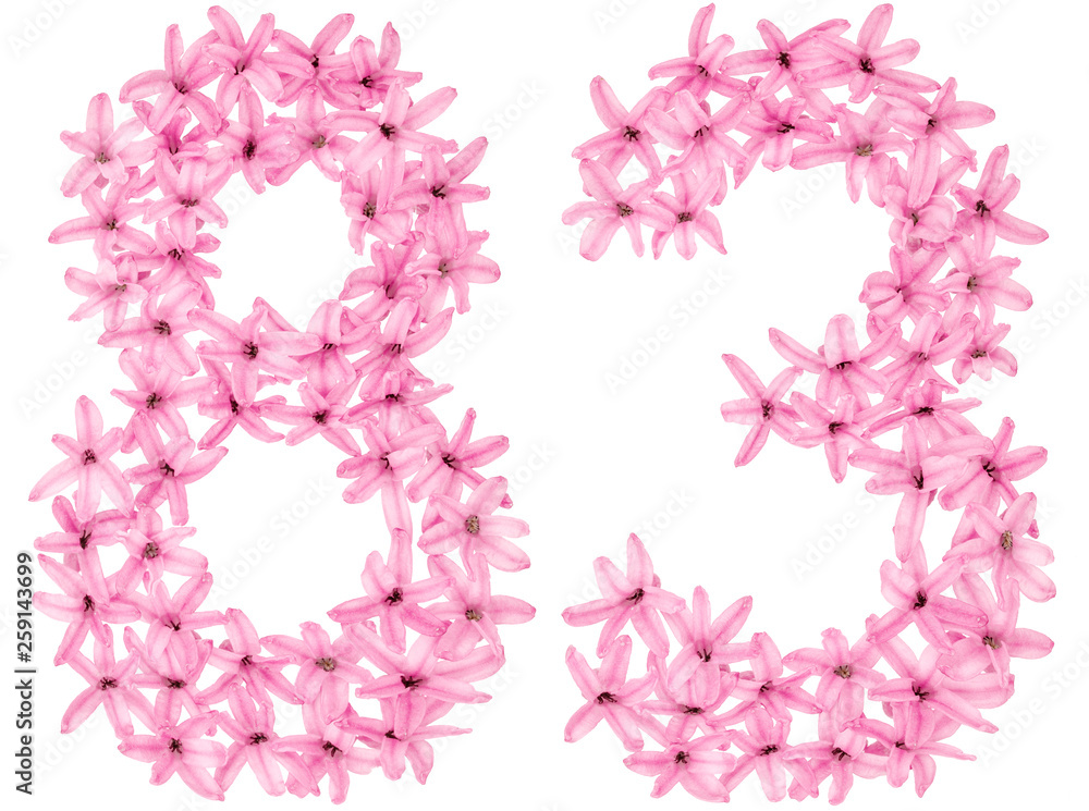 Numeral 83, eighty three, from natural flowers of hyacinth, isolated on white background Numeral 83, eighty three, from natural flowers of hyacinth, isolated on white background