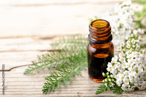 yarrow essential oil and fresh yarrow flowers on the wooden board