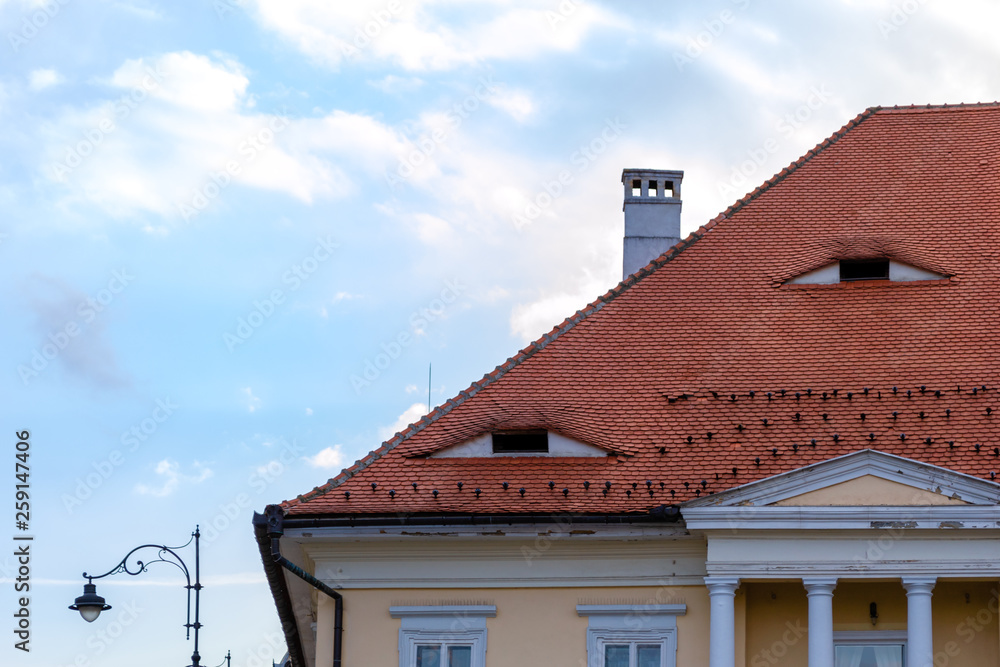 Fototapeta premium Traditional roof with small windows like eyes in Sibiu, Transylvania, Romania. Detailed architecture of a house top with columns, chimney, and a street pole, on pale light blue sky with white clouds.