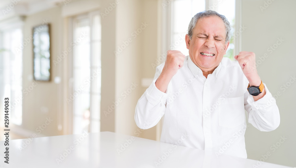 Handsome senior man at home excited for success with arms raised celebrating victory smiling. Winner concept. Handsome senior man at home excited for success with arms raised celebrating victory smiling. Winner concept.