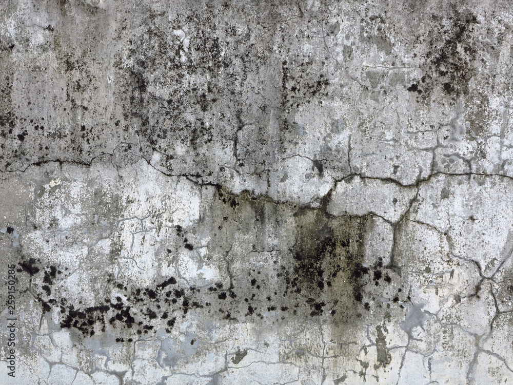 old dirty white wall with mold texture background
